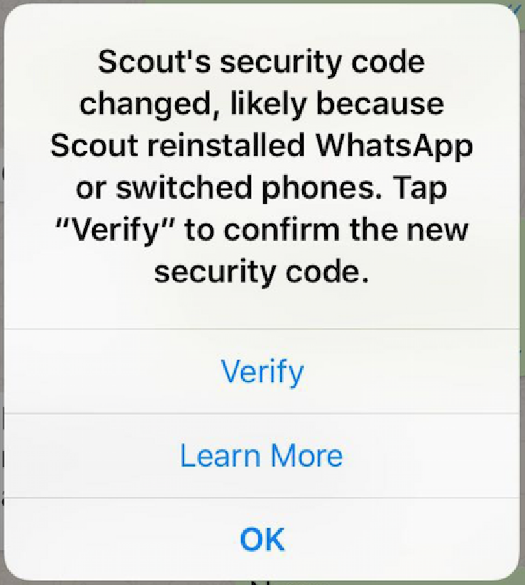 Screenshot from WhatsApp interface.