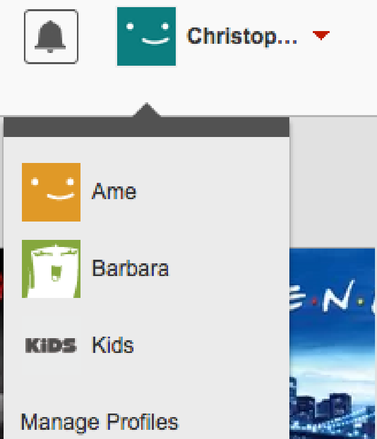 Netflix profile manager