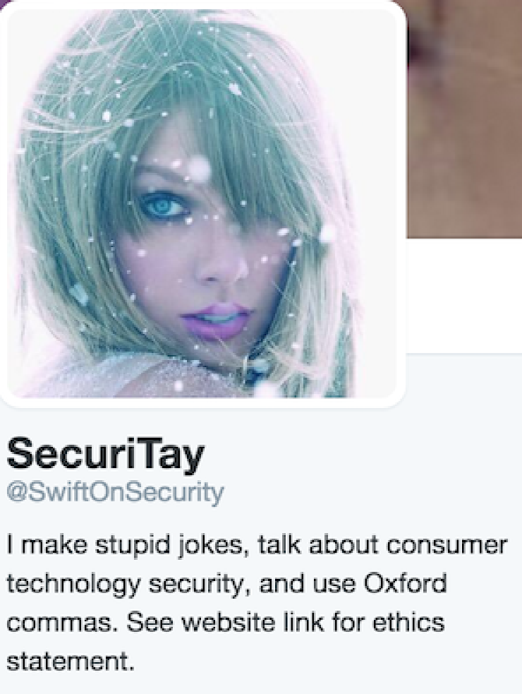 Screenshot of @SwiftOnSecurity&rsquo;s Twitter page.