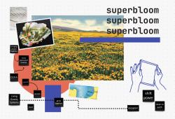 What's Next For 'Simply Secure'? Part 3: How We Built Superbloom