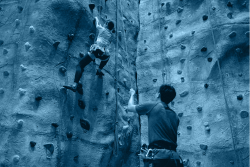 On Being a Coach: Support for Designers in Privacy and Security Open Source Software