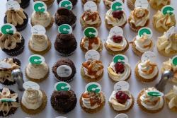 Making Design More Open: Superbloom At FOSS Backstage 2023