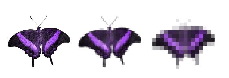 Image of three dark purple butterflies side by side morphing from left to right - image to pixelated image