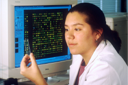 USER: A Work In Process